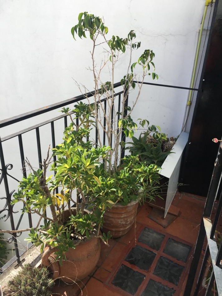 **u$s 110.000.-** - PH TIPO CASA EN TRES NIVELES - IDEAL DOS FAMILIAS - SEGUROLA ESQ. EVA PERON - LANUS OESTE